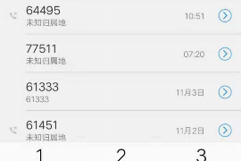 银行催收让我给骂了：揭秘催收背后的故事