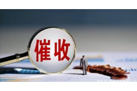 对付催收专业人员：揭秘应对策略