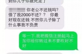 讨债人辱母案：儿子为母亲杀人，法律与人性的冲突